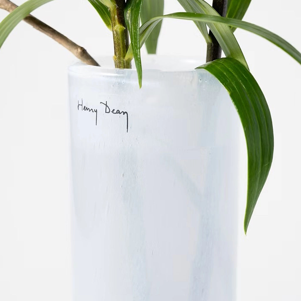 Pipe M D6×H25 フラワーベース（デュー） ｜Henry Dean – PIANO ISOLA