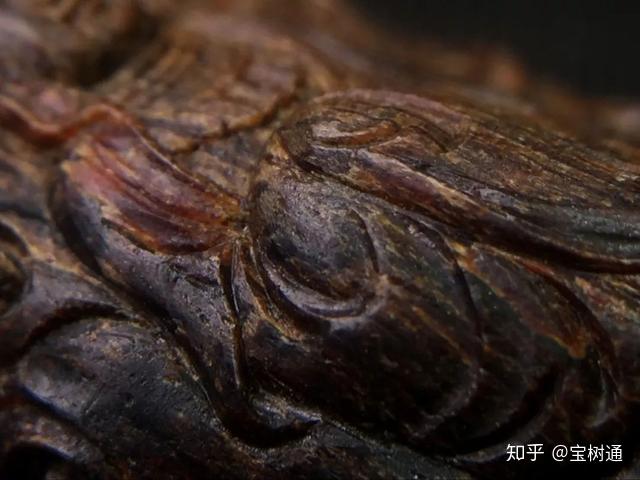 广东宝树通：世界最贵的香，日本叫“伽罗”，中国叫“奇楠”！ - 知乎