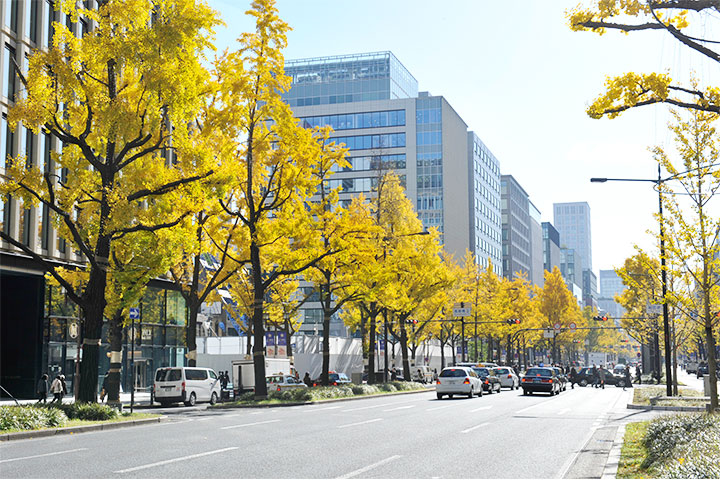 2025最新】大阪市内で御堂筋イチョウ並木の紅葉を楽しもう！ | Osaka