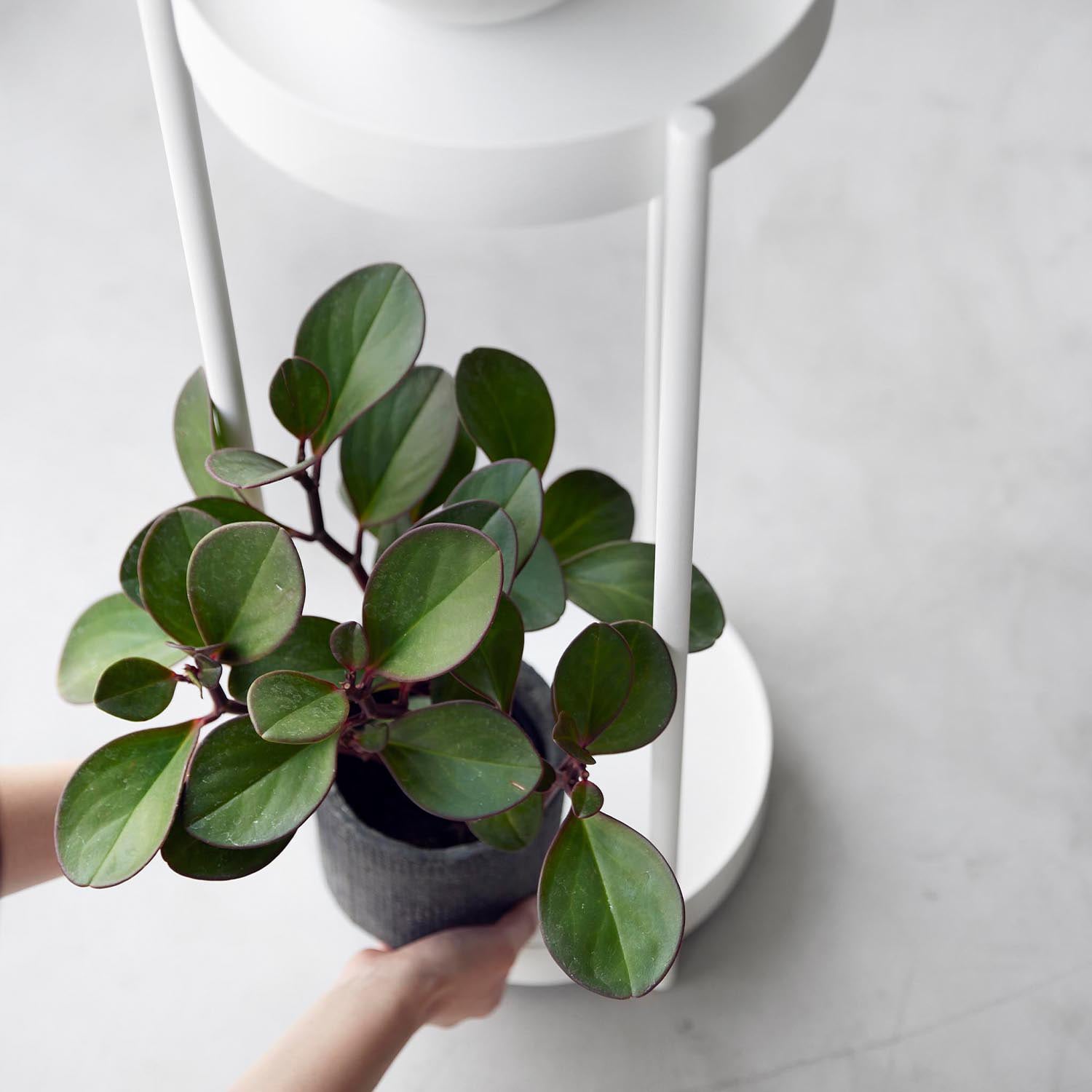 キャスター付き2段プランタースタンド(タワー/tower)｜通販の