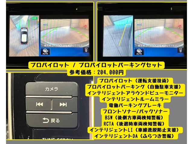 日産 リーフ ニスモ OBD診断済／プロパイロット／プロパイロット