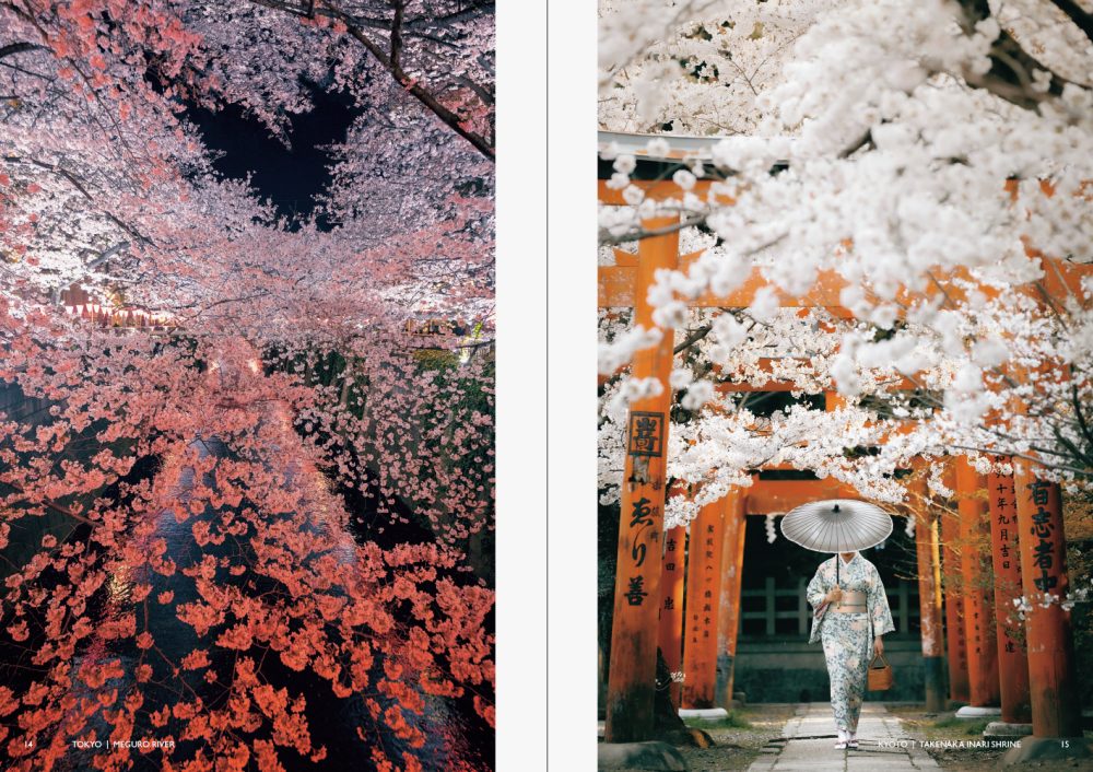 JAPANISM―世界に伝えたい、日本美景― | PIE International