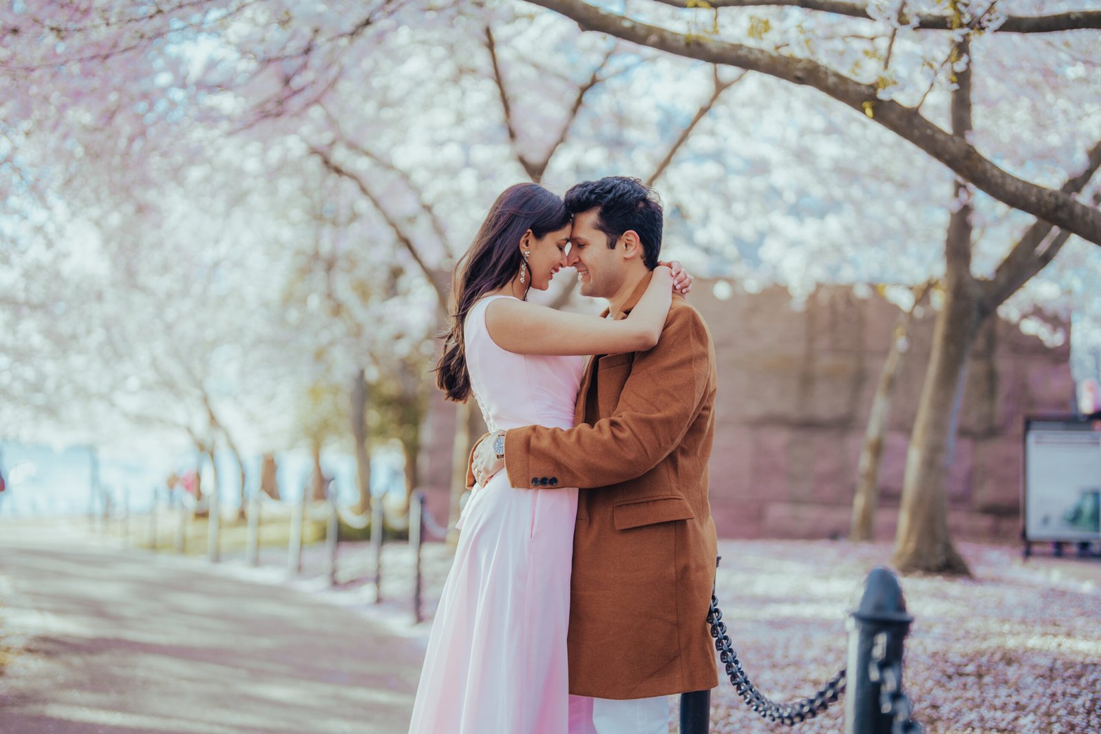 Blossoming Love: Embracing Warmth in Washington D.C.'s Chilly