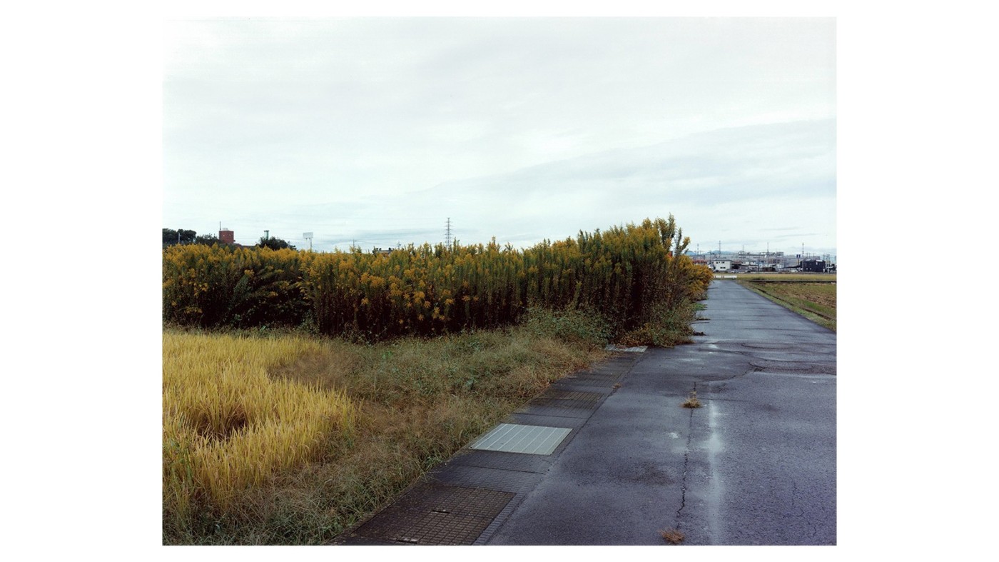 ニコンサロン年度賞、第48回「伊奈信男賞」 にERIC、第25回「三木淳賞