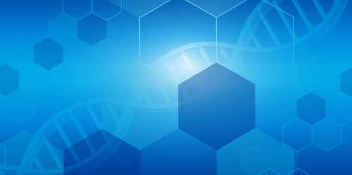 LIFEWAVE(ライフウェーブ)パッチ販売サイト | Photo Therapy