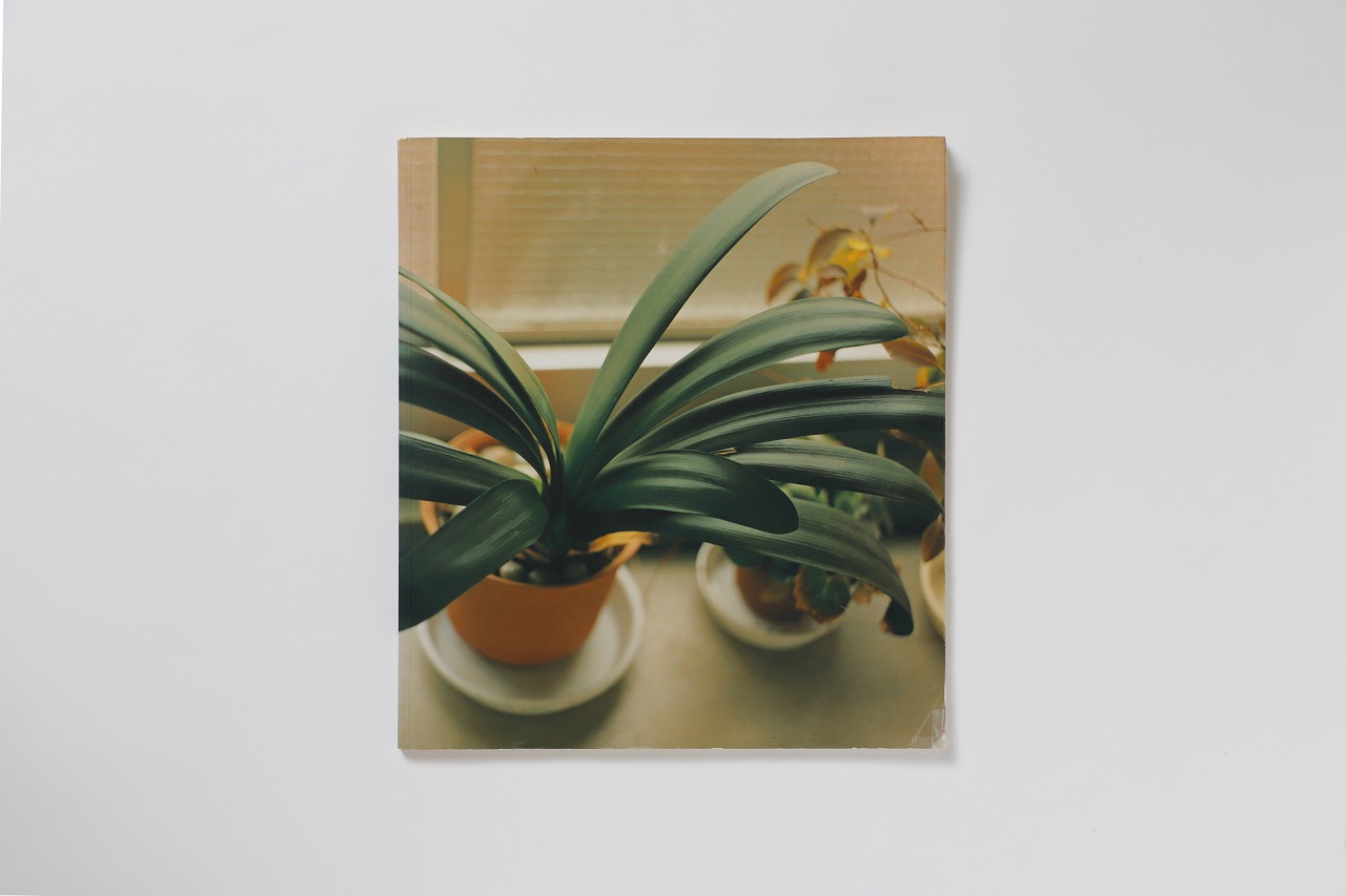 独学で写真を始めた佐内正史29歳のデビュー作『生きている』が出た経緯