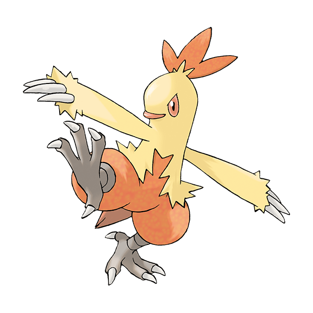 ワカシャモ | ポケモン図鑑 | Pokémon-Info 寶可夢資訊站