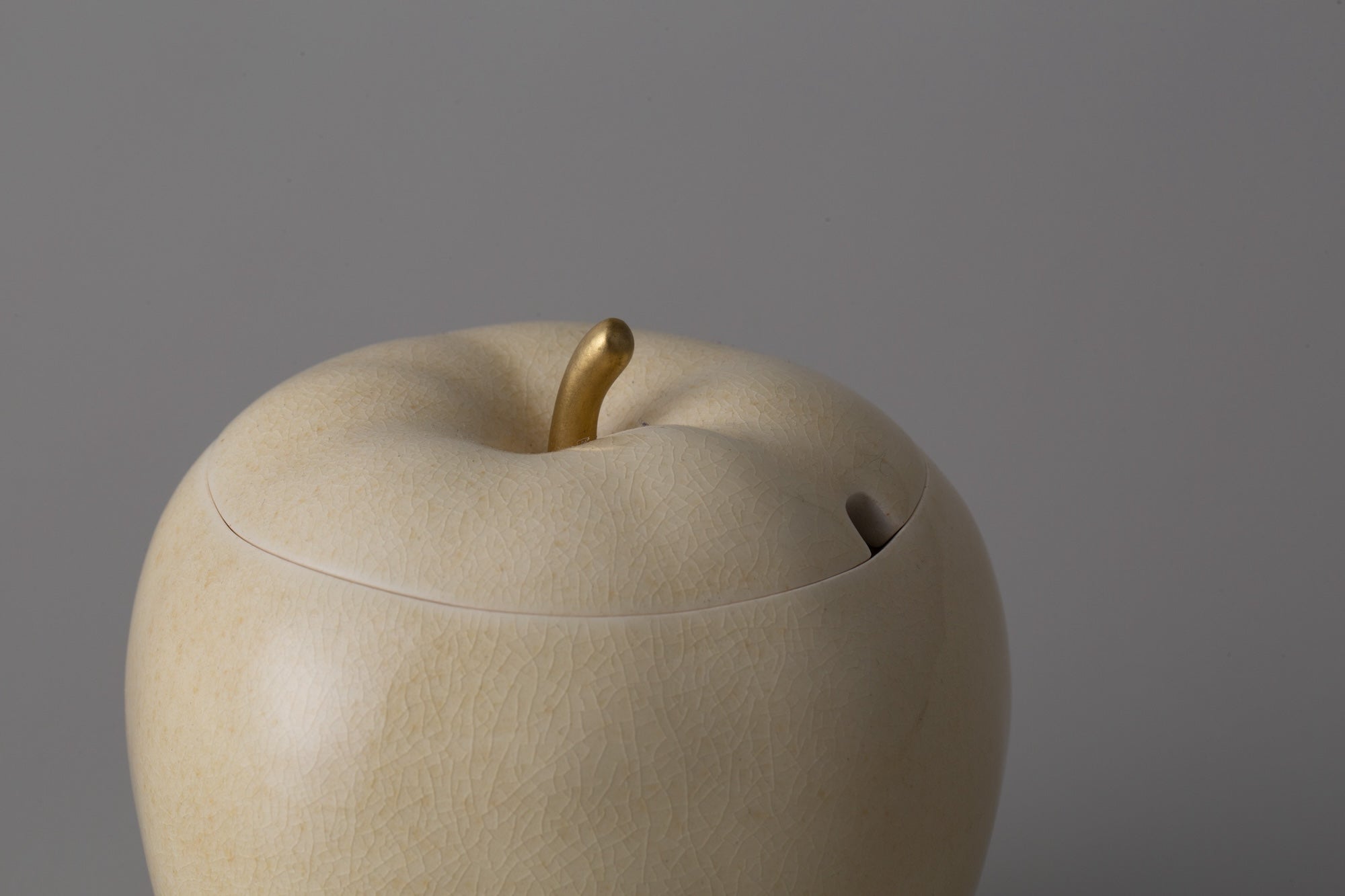 Apple – Playmountain