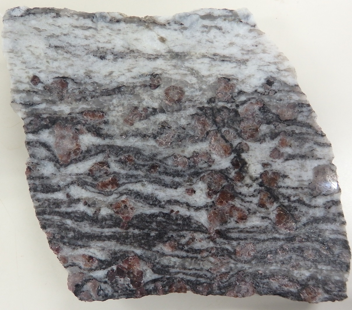 柘榴石片麻岩(garnet gneiss) - 岩石鉱物詳解図鑑 planetscope