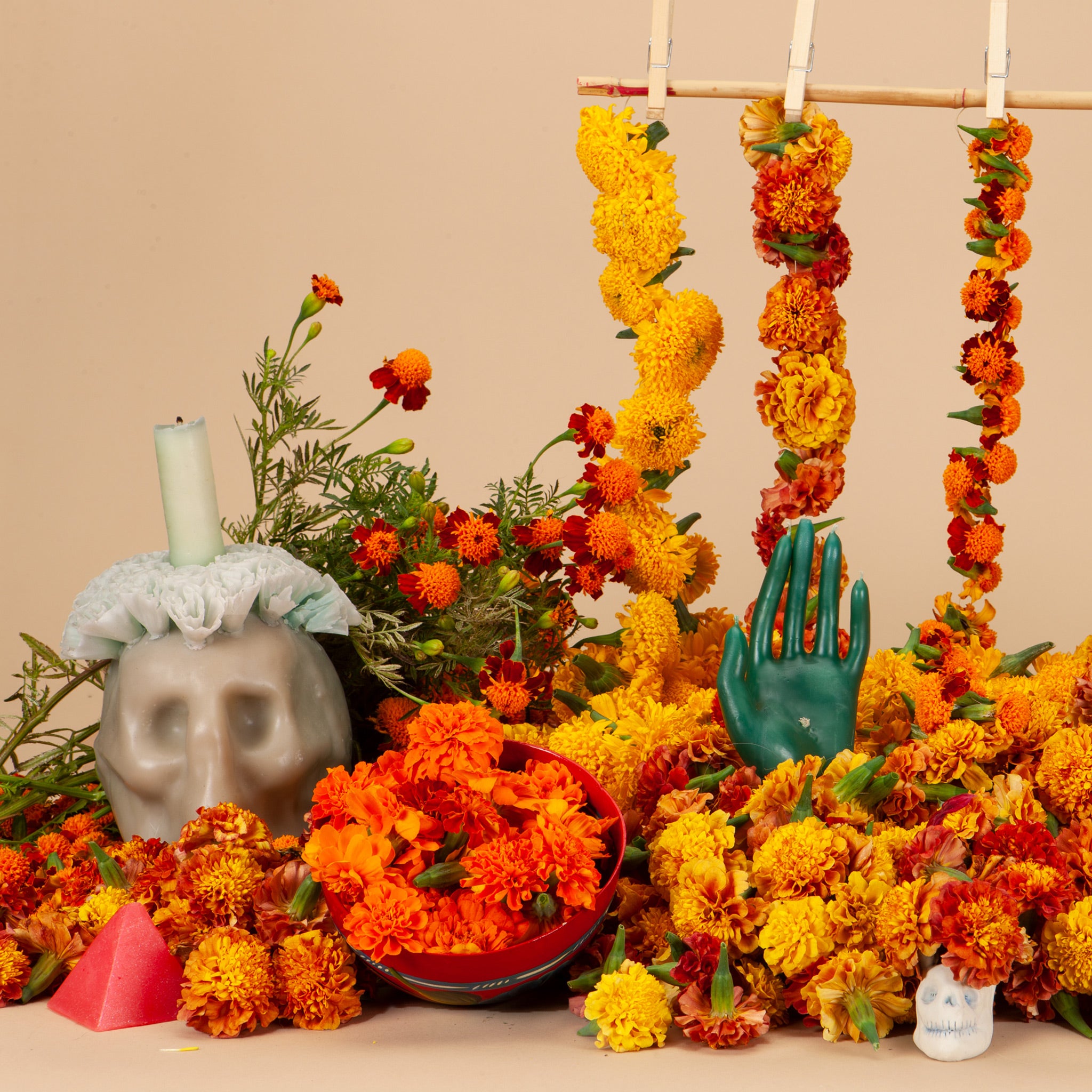 Marigold Mix Seed Bundle | Plantgem