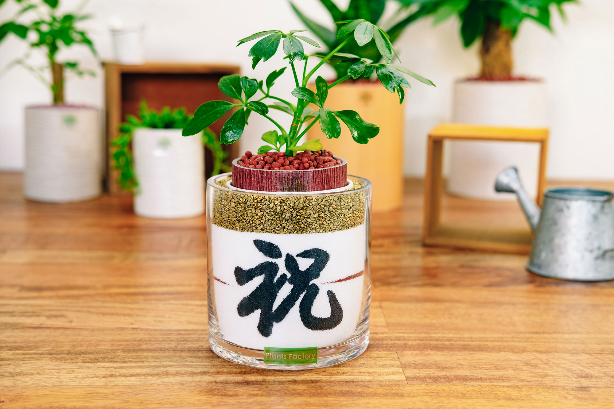 結婚式・結婚祝 ｜ Plants Factory(プランツファクトリー) ｜ SB