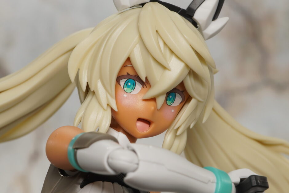 30MS】SIS-H00 セスティエ[カラーC] レビュー | プレナム速報