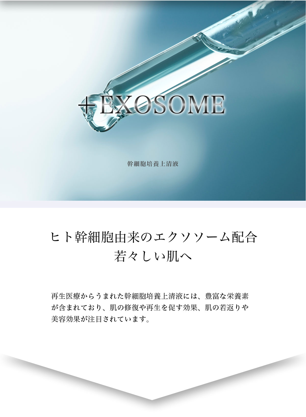 テンケイローション／天恵化粧水