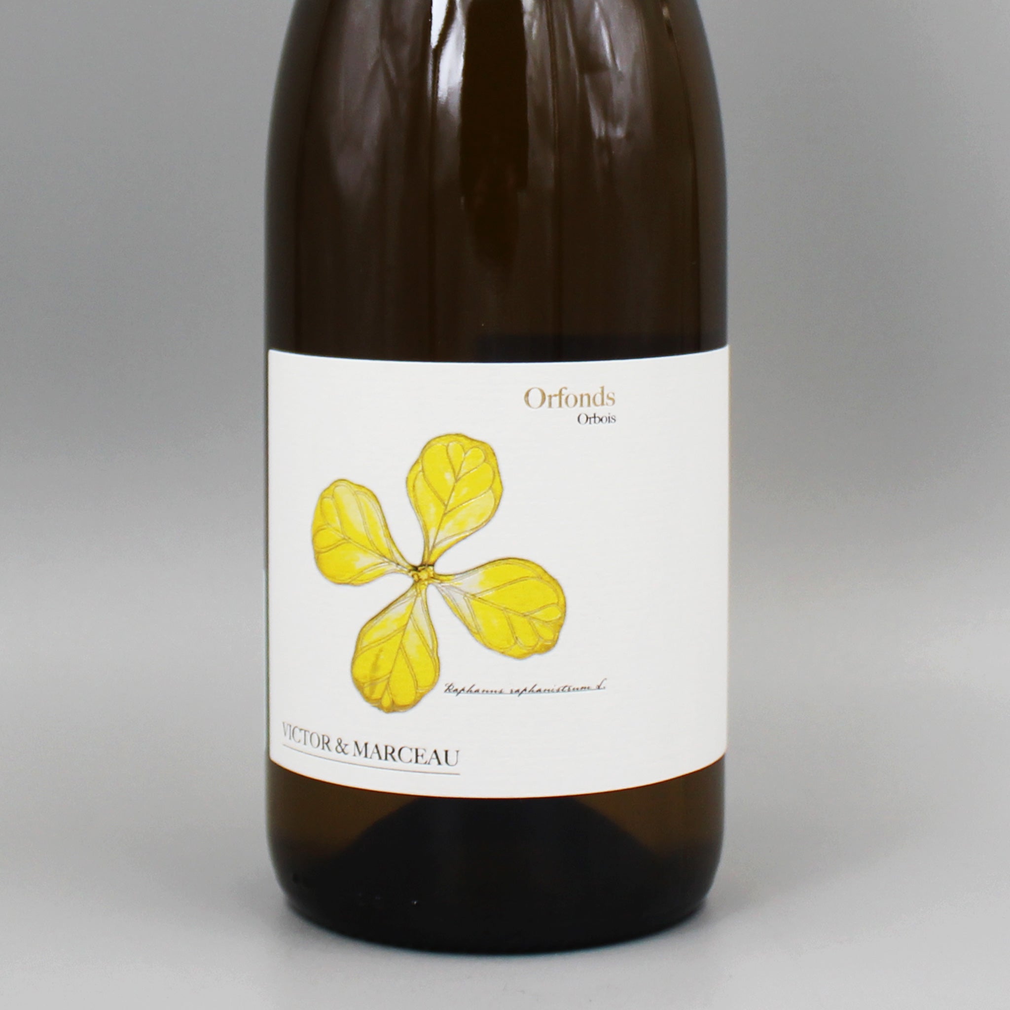 379742-2.jpg?v=1752716880&