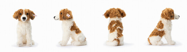 シュタイフ コーイケルホンディエ」日本限定2024体 発売決定｜不動産の