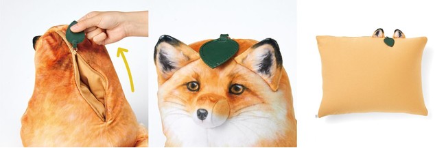 変身姿もかわいい 「キタキツネが化けるリバーシブルクッション」と