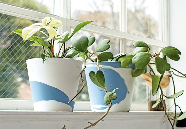 世界にただひとつだけの植木鉢カバーが登場！阪急うめだ本店で