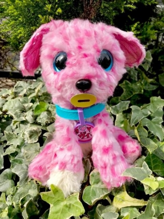 謎の毛玉を水で洗うとぬいぐるみに変身するサプライズトイ『WHOareYOU