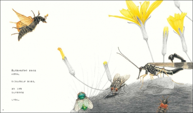 舘野鴻絵本原画展「ぼくの昆虫記 ー見つめた先にあったものー」が