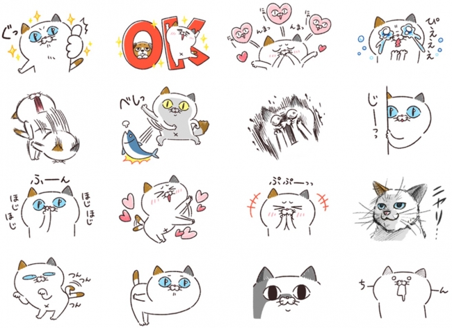 DHC LINE公式アカウント『タマ川 ヨシ子（猫）』新作LINE