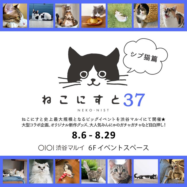 日本最大級のねこ写真パネル＆グッズ展「ねこにすと」】「ねこにすと
