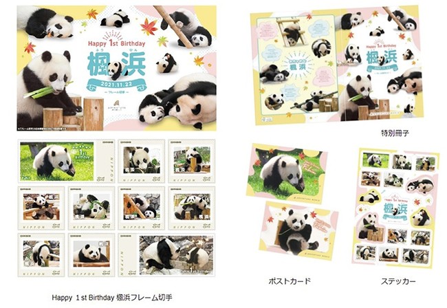 ジャイアントパンダ「楓浜（ふうひん）」1歳を記念し「Happy 1st