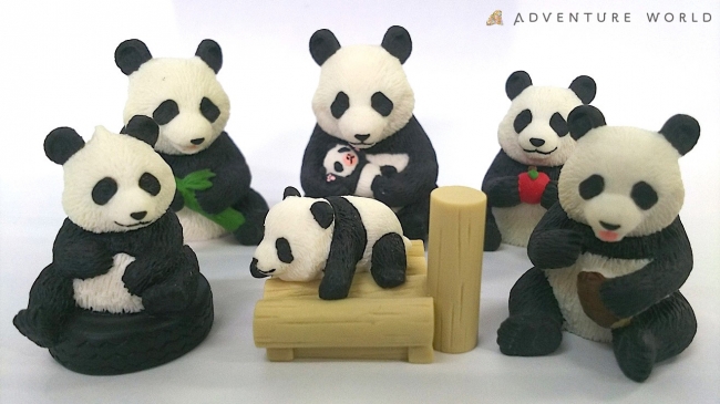 アドベンチャーワールドのパンダファミリー6頭がそれぞれの個性