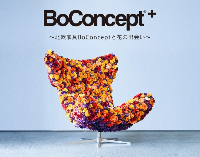 前田有紀×BoConcept】BoConcept+が渋谷ヒカリエにオープン | 株式会社