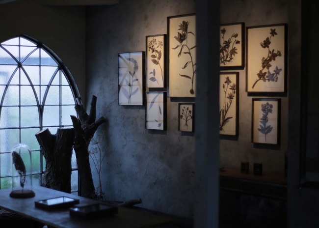 イデー】モリソン小林「植物記」開催のお知らせ | 株式会社良品計画の