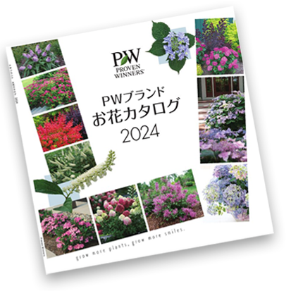 PWブランド お花カタログ 2024年 プレゼント！ | PROVEN WINNERS (PW