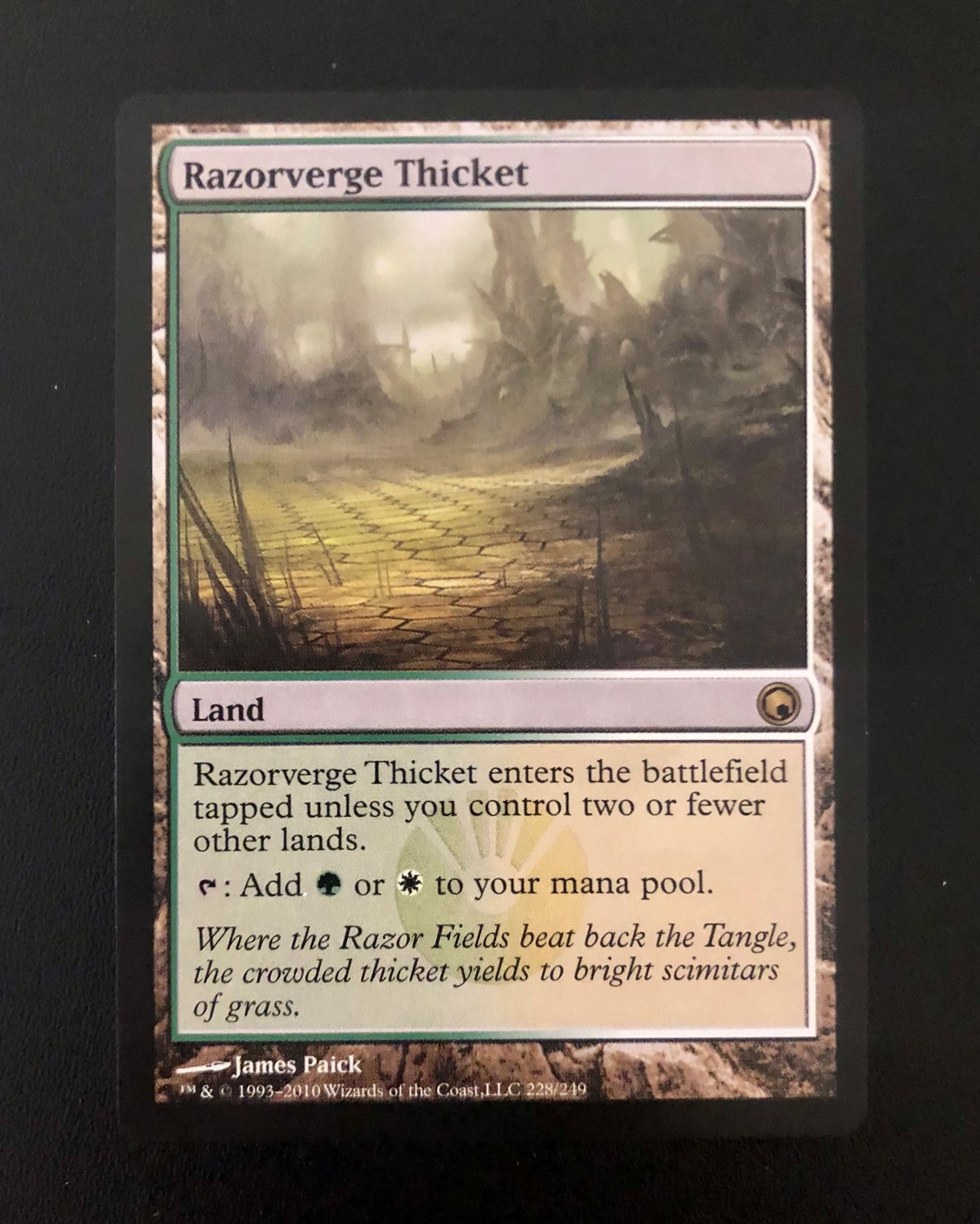 Razorverge Thicket - MTG Proxy Scars of Mirrodin - Proxy King