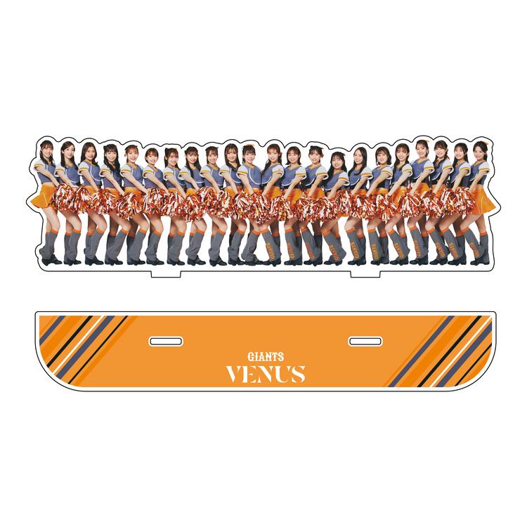 VENUSグッズ第2弾を発売 | 読売ジャイアンツ（巨人軍）公式サイト