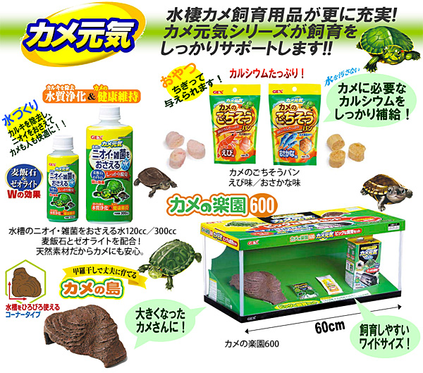 カメ元気 カメの島 M-1 | ジェックス株式会社