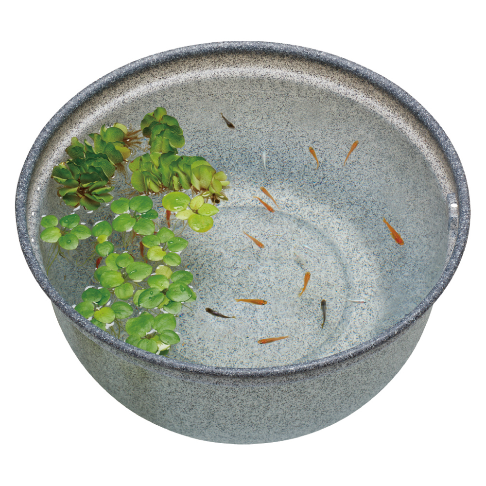 メダカ元気 メダカのための飼育鉢 みかげ 420 | ジェックス株式会社