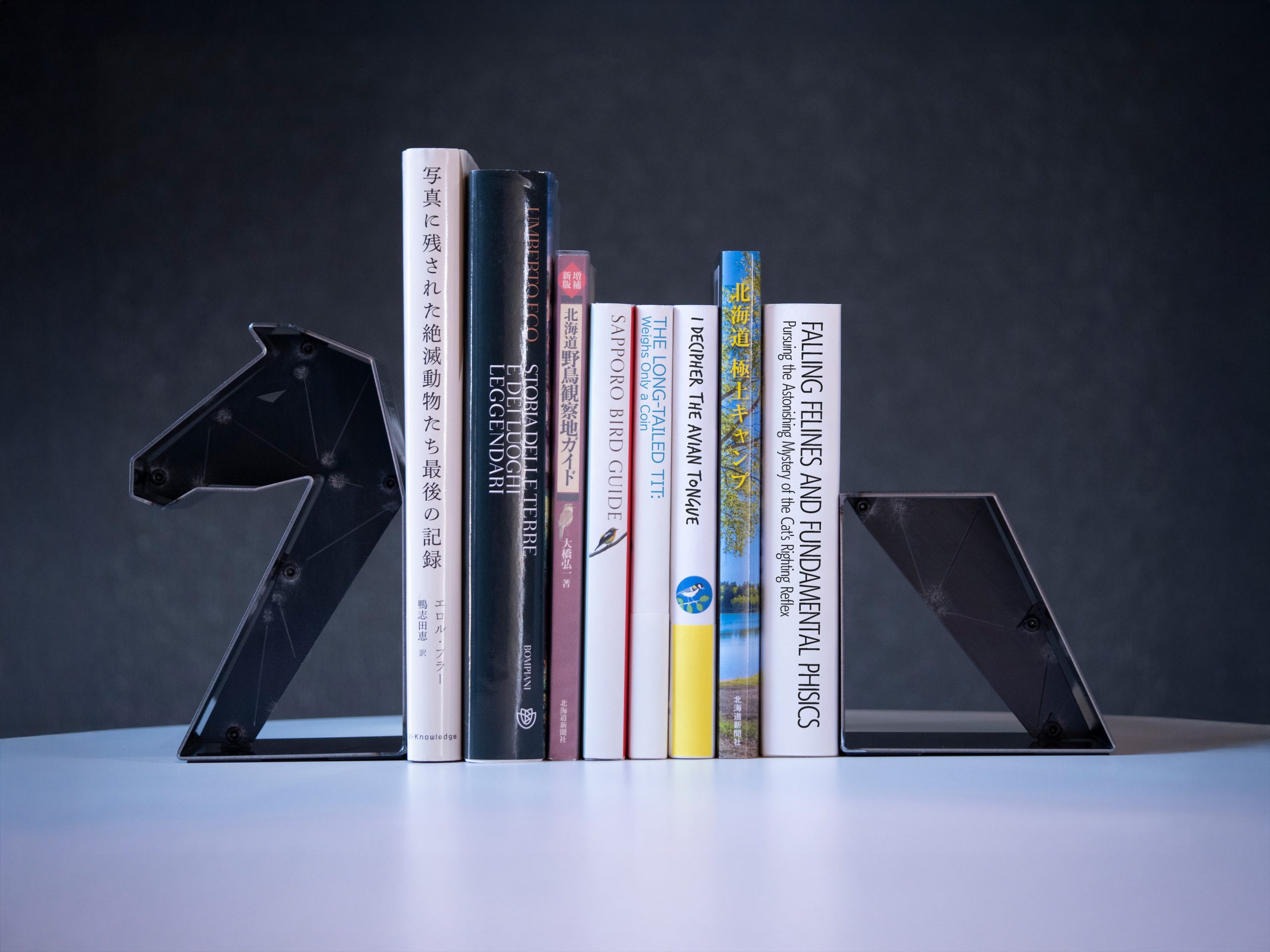 ブックエンド-2026 午- - TRIPATH PRODUCTS