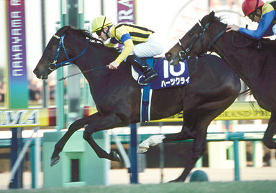 未来に語り継ぎたい名馬 JRAレーシングビュアー