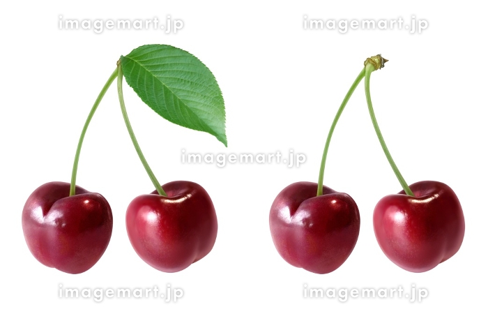 アメリカンチェリー さくらんぼ イラスト リアル セット [194334894