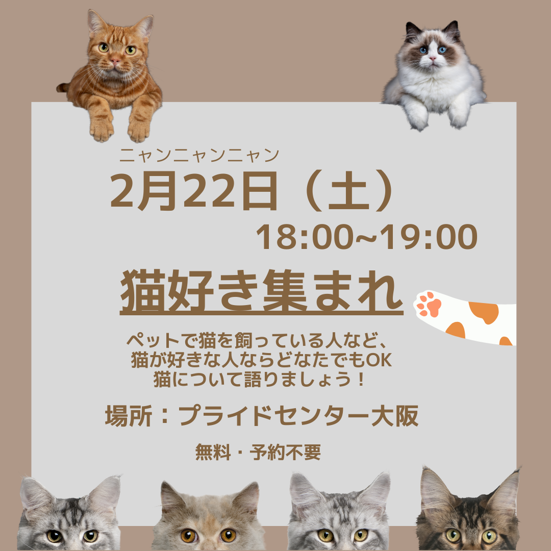告知】2/22(土)「猫好き集まれ」を開催 | プライドセンター大阪