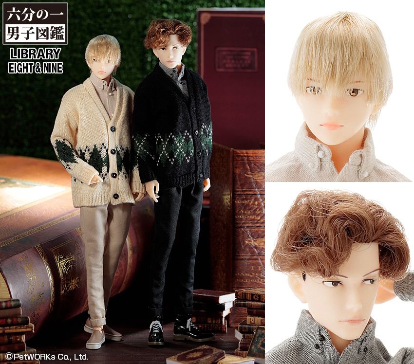 2023年11月6日入庫「六分の一男子図鑑 書房のエイト /