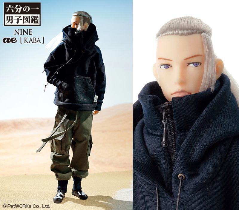 2023年7月11日入庫「六分の一男子図鑑ナイン ae [KABA]」