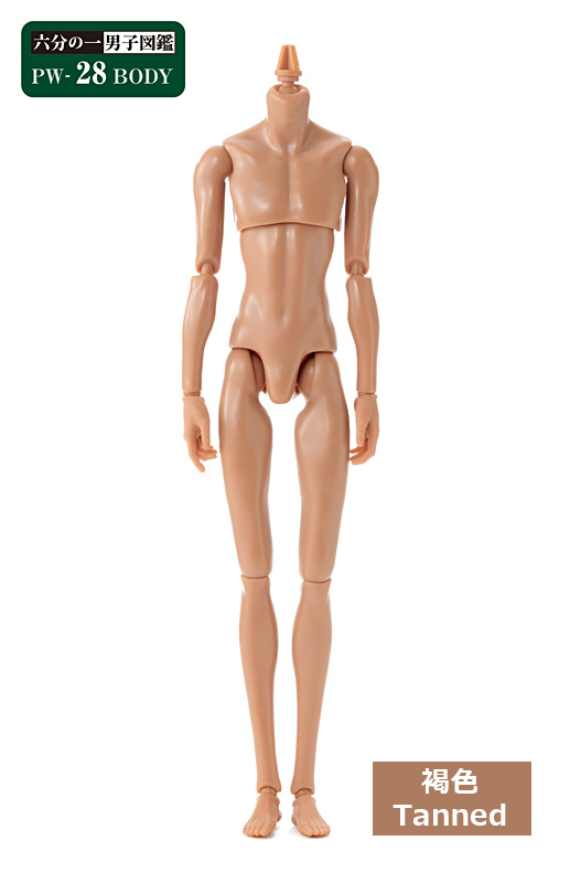 六分の一男子図鑑 PW-28BODY 褐色 - PetWORKs Store