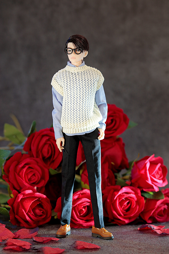 六分の一男子図鑑 25VDAY エイト PS - PetWORKs Store