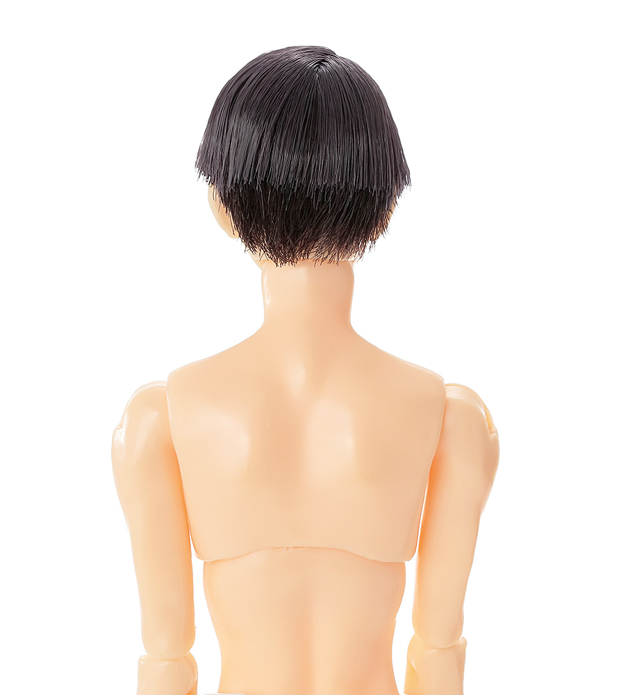 六分の一男子図鑑 26VDAY エイト PS - PetWORKs Store