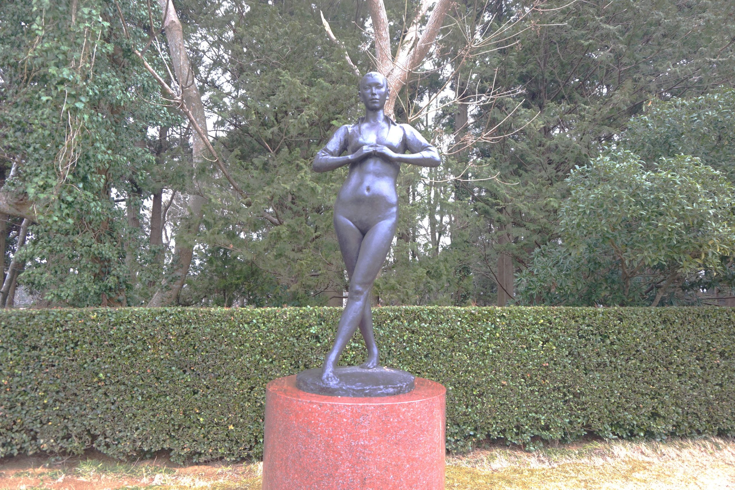 緑」DIC川村記念美術館の質の高い収蔵コレクションへの期待を高めて