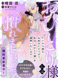 十条要 (とおじょうかなめ)とは【ピクシブ百科事典】