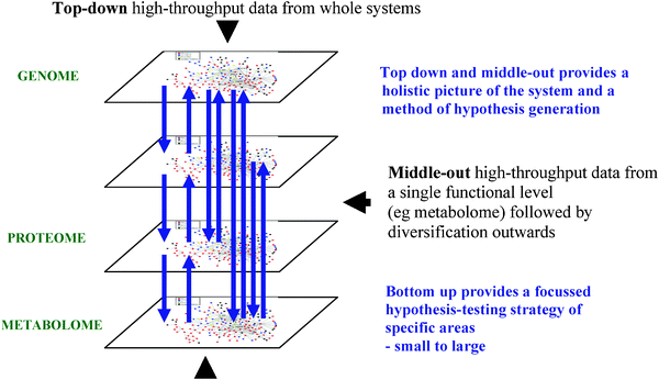 Systems level studies of mammalian metabolomes: the roles of mass