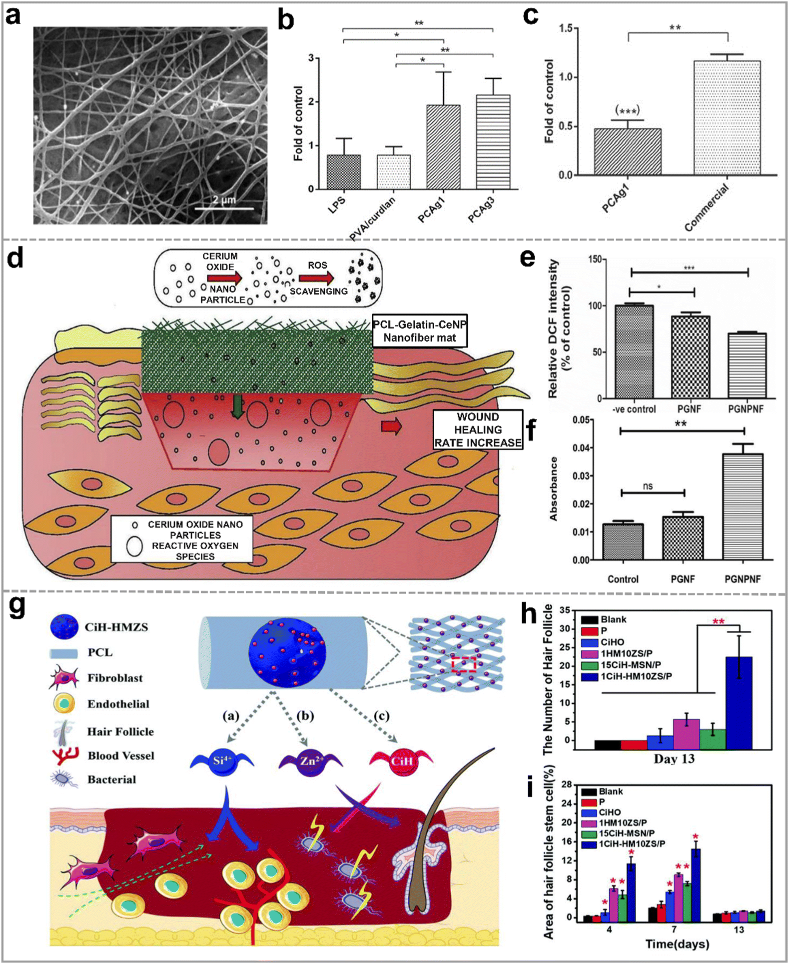Electrospun organic/inorganic hybrid nanofibers for accelerating