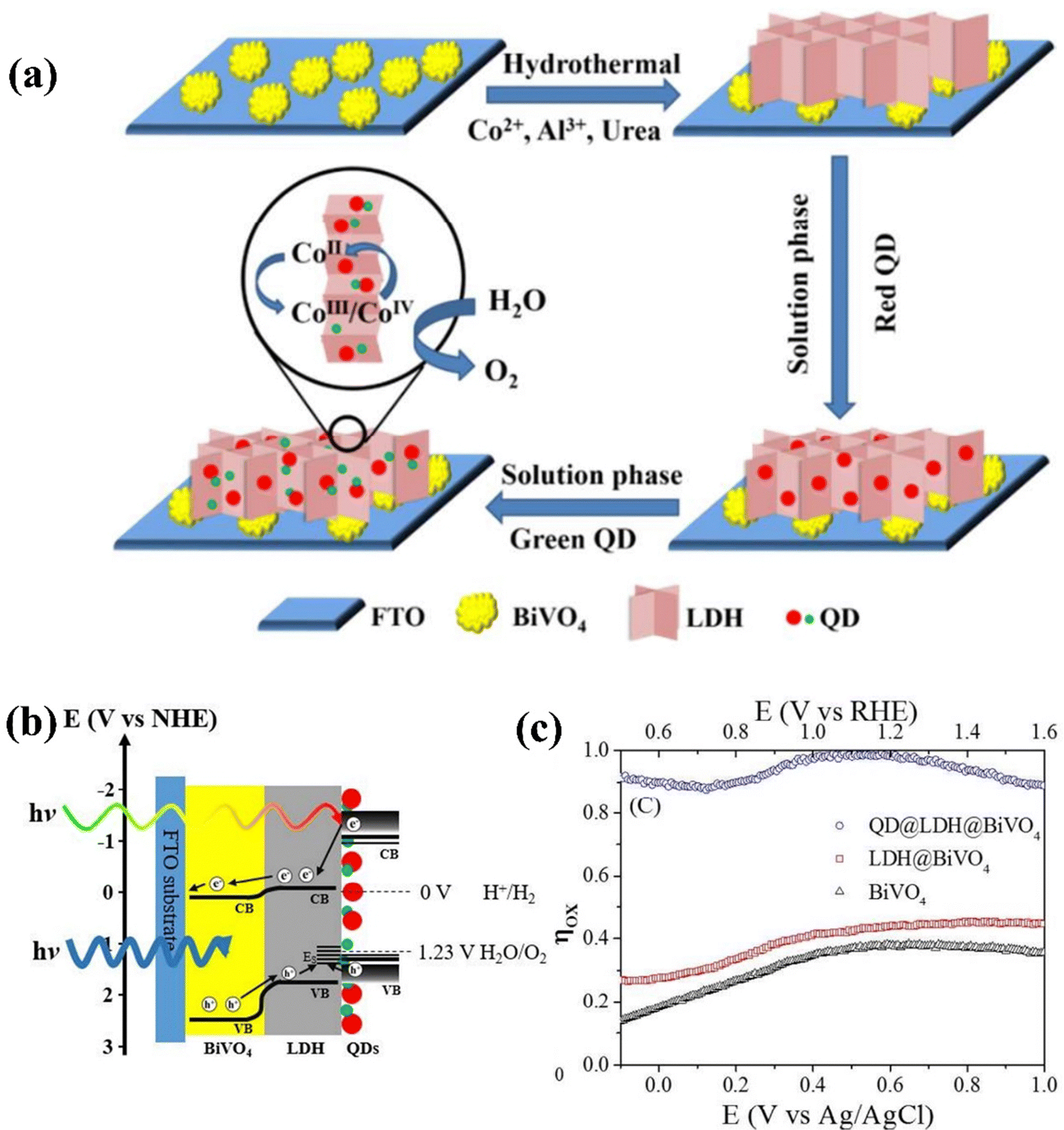 Layered double hydroxide modified bismuth vanadate as an efficient