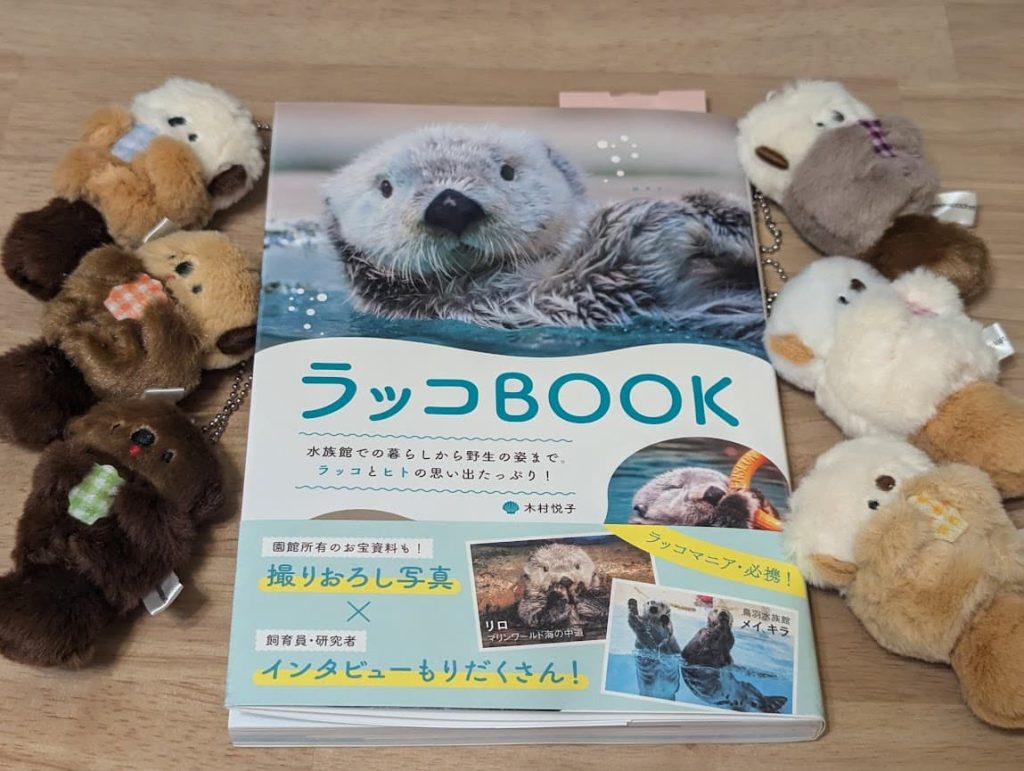 鳥羽水族館でレアなラッコ「メイ＆キラ」に会おう！館内の見どころ