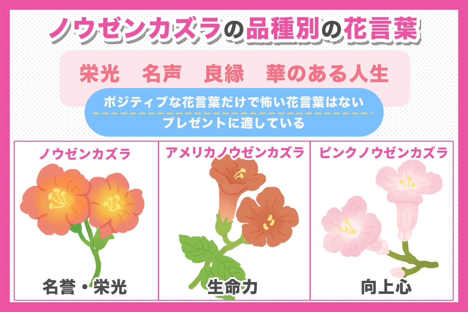 ノウゼンカズラの花言葉は？品種ごとに異なる意味を紹介|花占いと花
